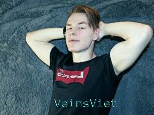 VeinsViet