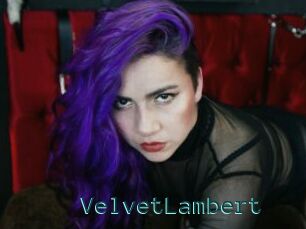 VelvetLambert