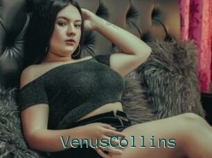 VenusCollins