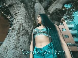 Venus_Walton