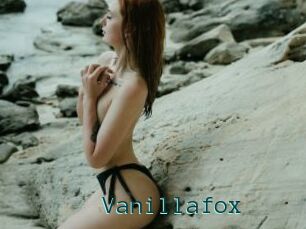 Vanillafox