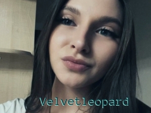 Velvetleopard