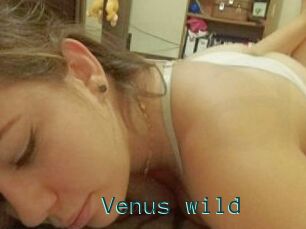 Venus_wild