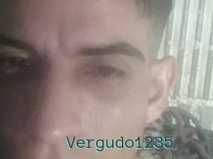 Vergudo1235