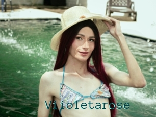 Viioletarose
