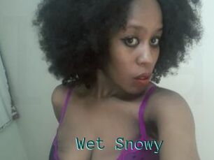 Wet_Snowy