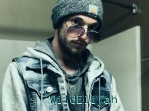 WildElijah