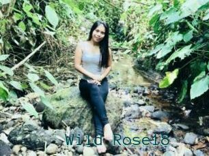 Wild_Rose18