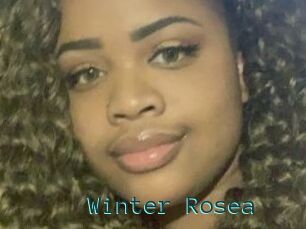 Winter_Rosea