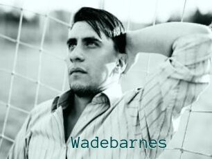 Wadebarnes