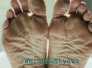 Welshbustyava