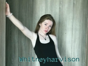 Whitneyharvison