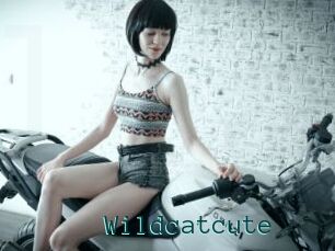 Wildcatcute