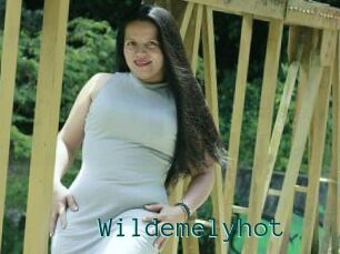 Wildemelyhot