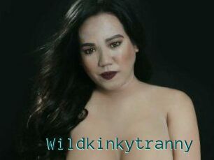 Wildkinkytranny