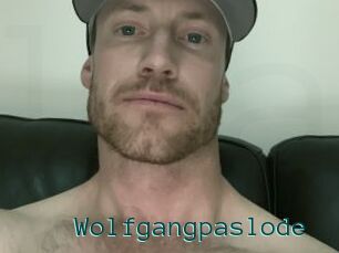 Wolfgangpaslode