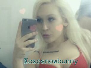 Xoxosnowbunny