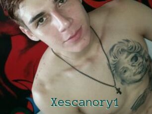 Xescanory1