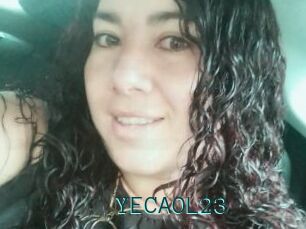 YECAOL23