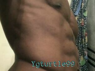 Ygturtle99