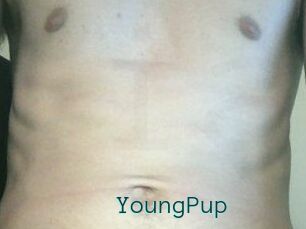 YoungPup