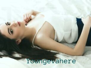 Youngevahere