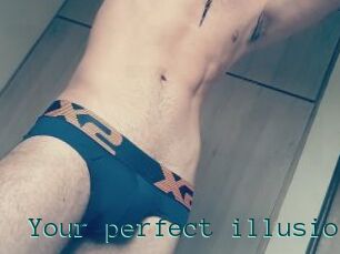 Your_perfect_illusion
