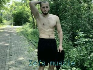 Zefs_muscle