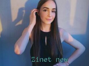 Zinet_new