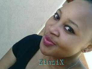ZinziX