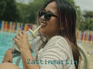 Zattinmartin
