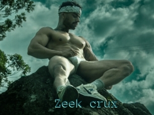 Zeek_crux