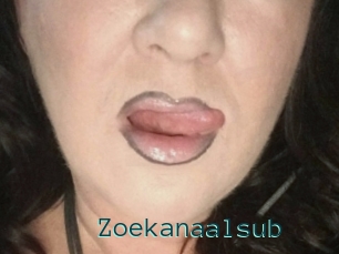 Zoekanaalsub